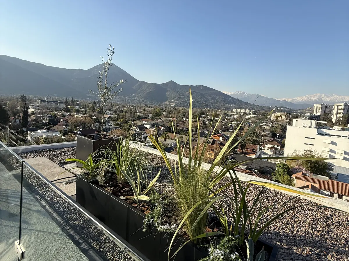 Proyecto Paisajismo Nazca: maceteros negros con pastos y plantas en una azotea con vista a la cordillera.